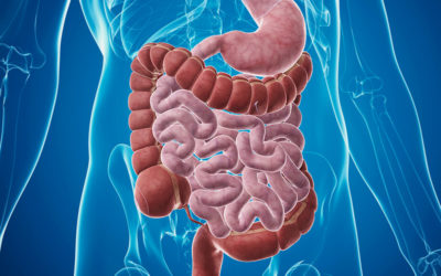 “Burden of Digestive Diseases in the United States” by James E. Everhart, M.D., M.P.H