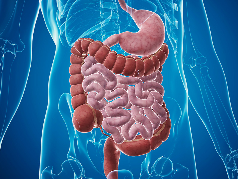 “Burden of Digestive Diseases in the United States” by James E. Everhart, M.D., M.P.H