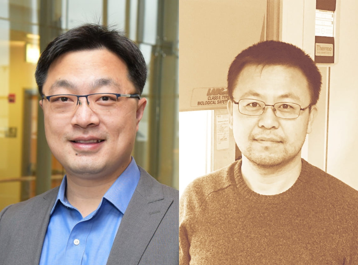 Bozhi Tan, PhD and Jiping Yue, MD