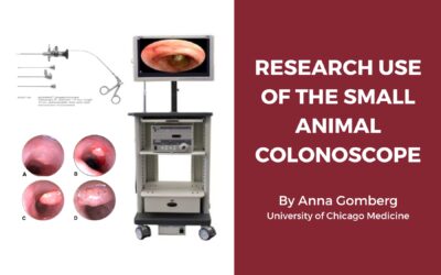 Research Use of the Small Animal Colonoscope