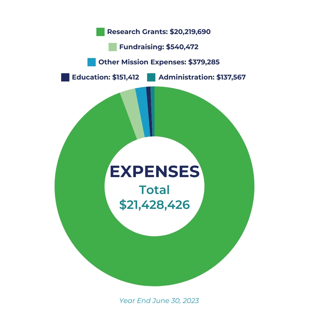 Expenses pie chart