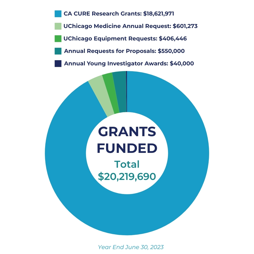 Grants Funded pie chart